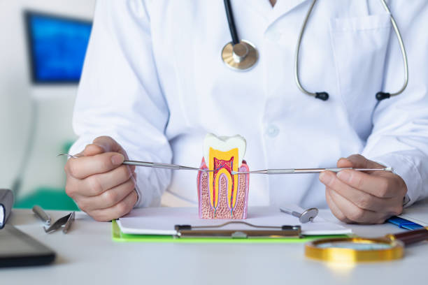 Best Emergency Dental Care for Broken or Chipped Teeth in Rio Rancho Estates, NM